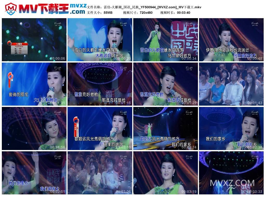 雷佳-大雁湖_国语_民族_YF500944